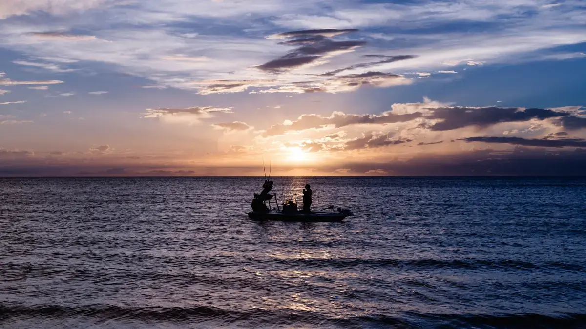 Equipo Esencial Para la Pesca Nocturna en Alta Mar