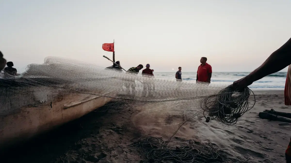 Pesca Oceánica: El Impacto Ambiental de la Pesca Industrial en los Océanos