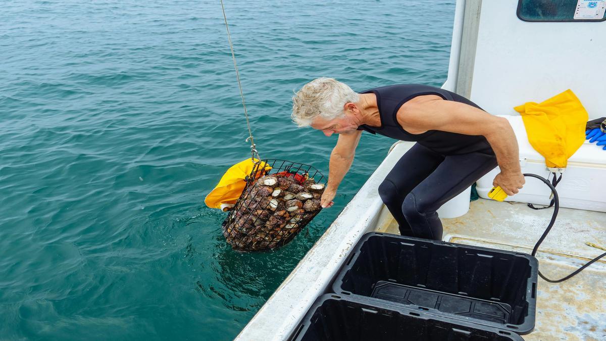 beneficios-de-la-colaboracion-entre-sectores-para-la-conservacion-del-oceano-y-gestion-sustentable-d