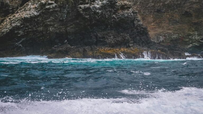 Influencia de políticas públicas en la protección de tortugas marinas para la conservación del océano